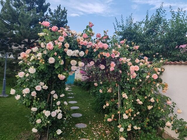 Vila superba in stil mediteranean Saftica- Corbeanca-  COMISION 0.