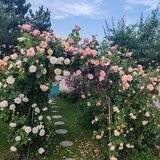 Vila superba in stil mediteranean Saftica- Corbeanca-  COMISION 0